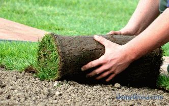 Поставување трева трева: технологија и процесот на нијанси