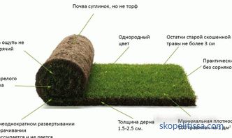 Поставување трева трева: технологија и процесот на нијанси