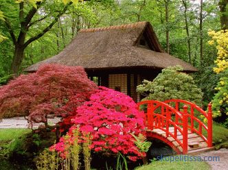 Јапонски градина - принципи и правила за создавање стил