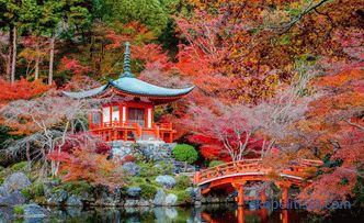 Јапонски градина - принципи и правила за создавање стил
