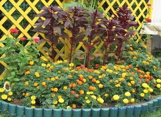 Граница за цветните кревети - фото идеи, како да се направи декоративна цветна ограда