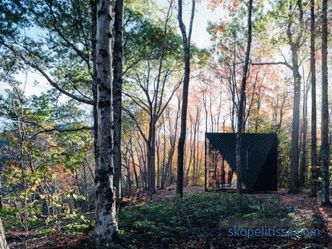 Кристално обликувана минијатурна куќа во шумата на Лансвил