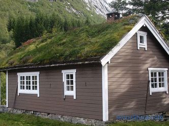 Скандинавски куќа: Скандинавски стил соба