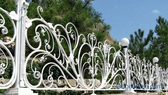 Декоративни огради за цветните леи - најдобрите идеи од дизајнери, фотографии, идеи