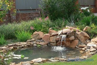 Како да се направи езерце во земјата - вештачки декоративни езерце во градината и на местото, прекрасен дизајн на езерцето, фото