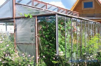 Стаклената стаклена градина на дача, видовите на стаклени оранжерии и критериумите за нивниот избор