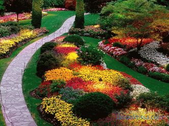 фотографии и основни препораки за создавање убава градина