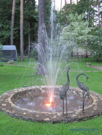 Фонтани за езерце во земјата, кој треба да се избере и да купи фонтана за декоративна градина езерцето во Москва