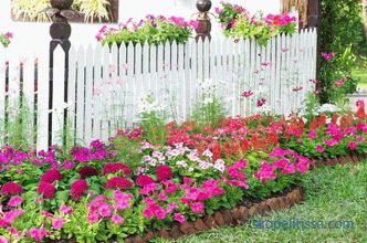 Цветна по оградата: правилата на пејзажот