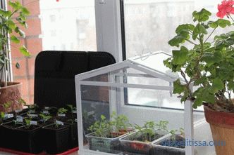 Насловна мини поликарбонат стаклена градина, мини стаклена градина за градина, фото и видео