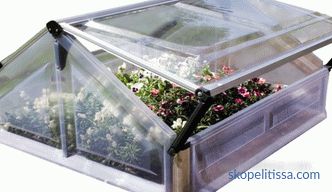 Насловна мини поликарбонат стаклена градина, мини стаклена градина за градина, фото и видео