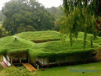 Зелен покрив - убавина или добро