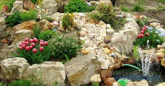 Камења за алпски слајд: основни принципи на вистинскиот избор
