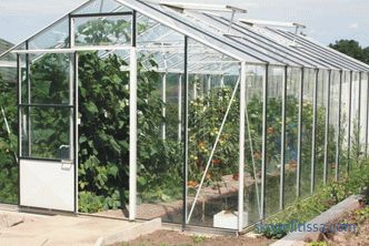 Како да се избере стаклена градина да се даде: карактеристики на избор, совети, слики