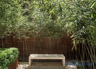 Градина во стилот на минимализмот, принципите и идеите за создавање минималистички пејзаж, фото стилски решенија