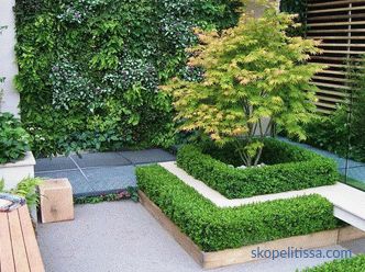 Градина во стилот на минимализмот, принципите и идеите за создавање минималистички пејзаж, фото стилски решенија