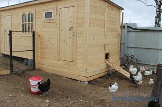 Топла кокошка кокошарник за зима, каков вид на градба да се избере, што да се разгледа кога се гради