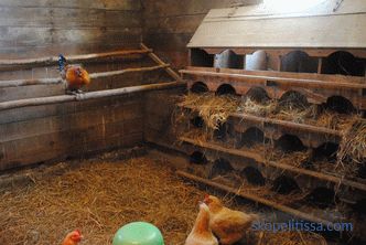 Топла кокошка кокошарник за зима, каков вид на градба да се избере, што да се разгледа кога се гради