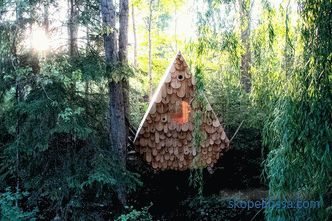 Куќичка за птици во канадска шума - располага со две лица и 12 птици
